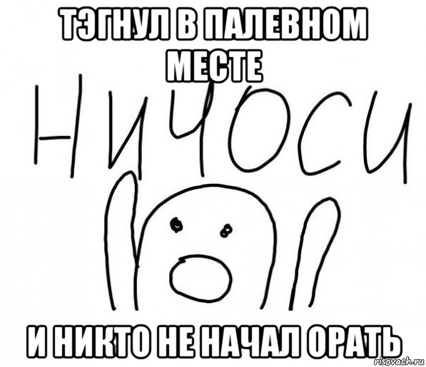 тэгнул в палевном месте и никто не начал орать, Мем  Ничоси