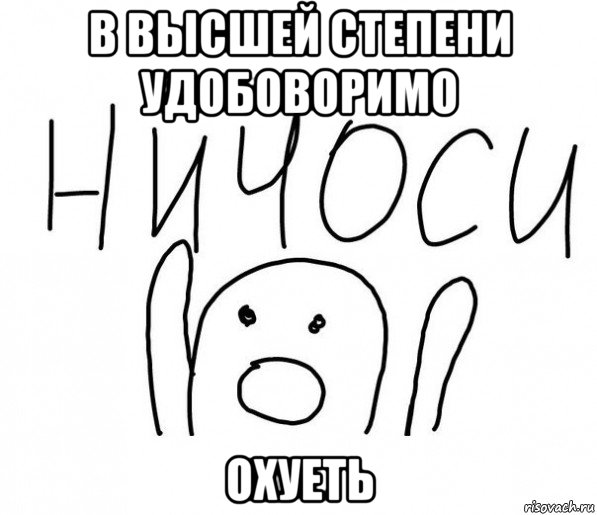 в высшей степени удобоворимо охуеть, Мем  Ничоси