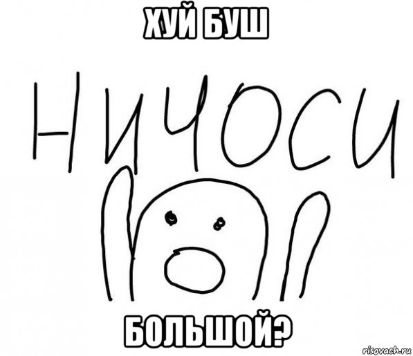 хуй буш большой?, Мем  Ничоси