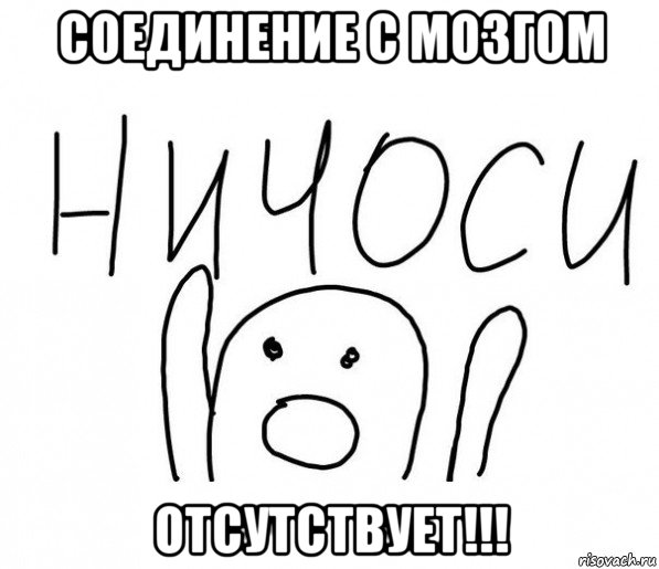 соединение с мозгом отсутствует!!!, Мем  Ничоси