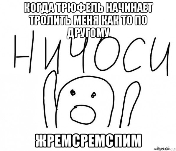 когда трюфель начинает тролить меня как то по другому жремсремспим, Мем  Ничоси