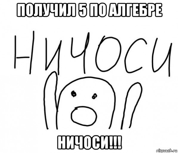 получил 5 по алгебре ничоси!!!, Мем  Ничоси