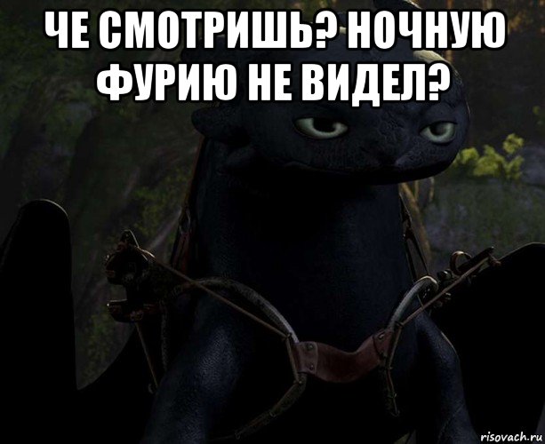 че смотришь? ночную фурию не видел? 