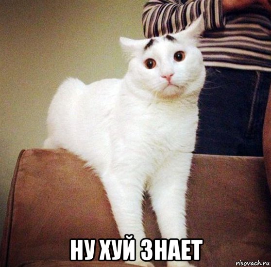  ну хуй знает