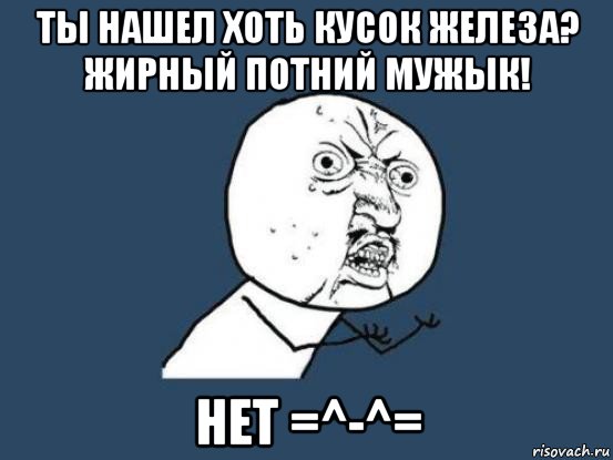 ты нашел хоть кусок железа? жирный потний мужык! нет =^-^=, Мем Ну почему