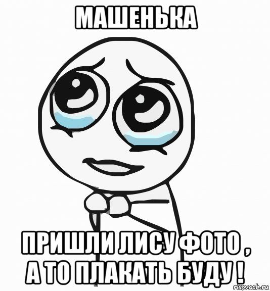 машенька пришли лису фото , а то плакать буду !, Мем  ну пожалуйста (please)