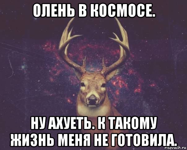 олень в космосе. ну ахуеть. к такому жизнь меня не готовила., Мем  олень наивный