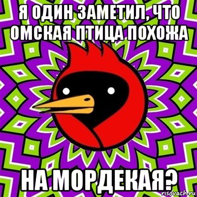 я один заметил, что омская птица похожа на мордекая?, Мем Омская птица