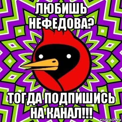 любишь нефедова? тогда подпишись на канал!!!, Мем Омская птица