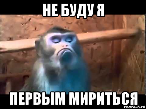 не буду я первым мириться, Мем Ой все