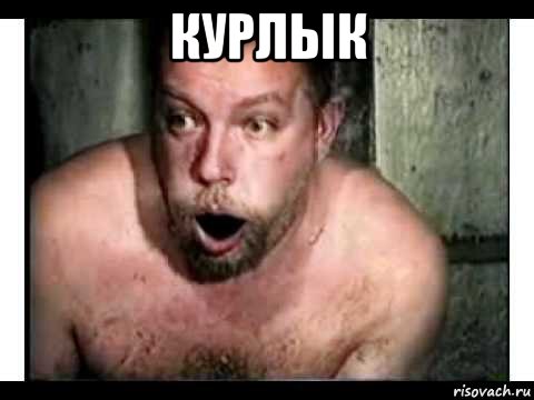 курлык 