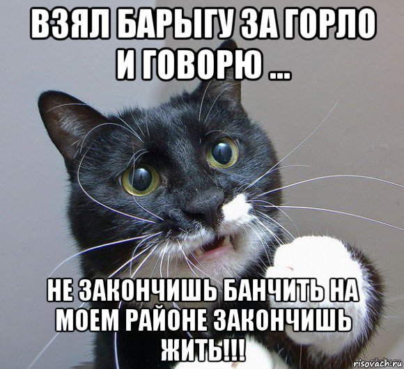 взял барыгу за горло и говорю ... не закончишь банчить на моем районе закончишь жить!!!