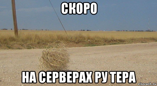 скоро на серверах ру тера, Мем перекати-поле одиночество