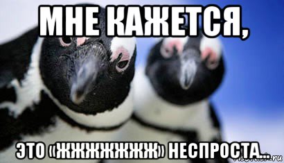 мне кажется, это «жжжжжжж» неспроста...
