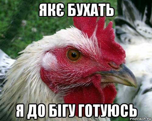 якє бухать я до бігу готуюсь