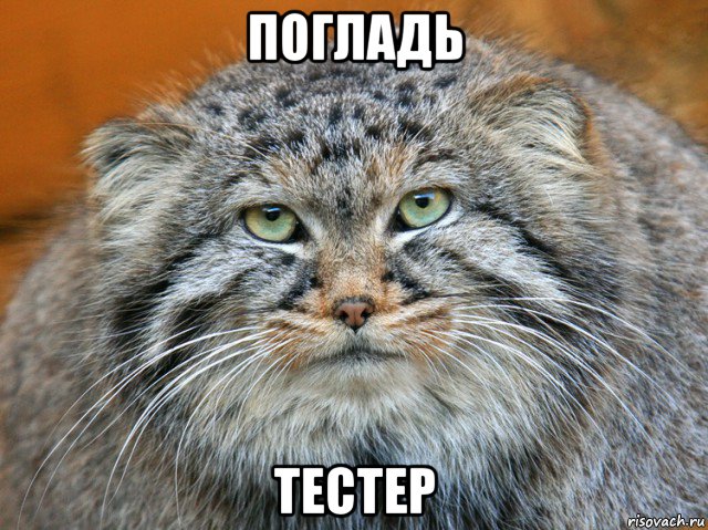 погладь тестер