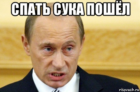 спать сука пошёл , Мем путин