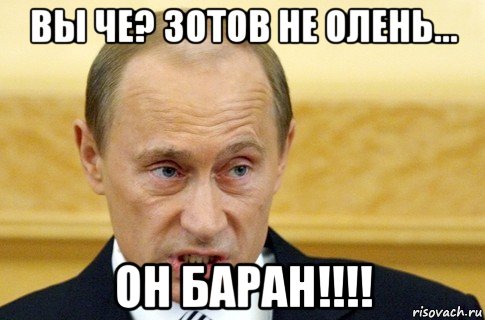 вы че? зотов не олень... он баран!!!!, Мем путин