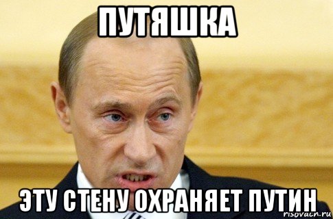 путяшка эту стену охраняет путин, Мем путин