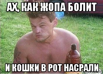 ах, как жопа болит и кошки в рот насрали