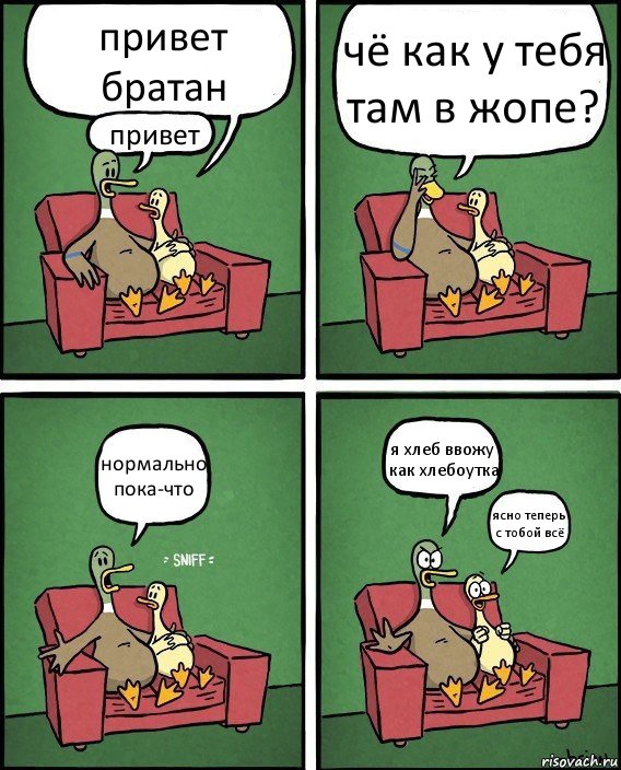 привет братан привет чё как у тебя там в жопе? нормально пока-что я хлеб ввожу как хлебоутка ясно теперь с тобой всё, Комикс  Разговор уток