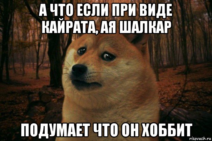 а что если при виде кайрата, ая шалкар подумает что он хоббит, Мем SAD DOGE