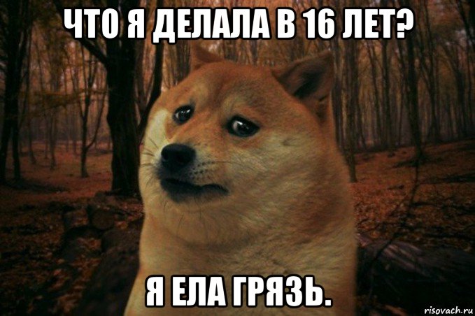 что я делала в 16 лет? я ела грязь., Мем SAD DOGE