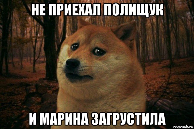 не приехал полищук и марина загрустила, Мем SAD DOGE