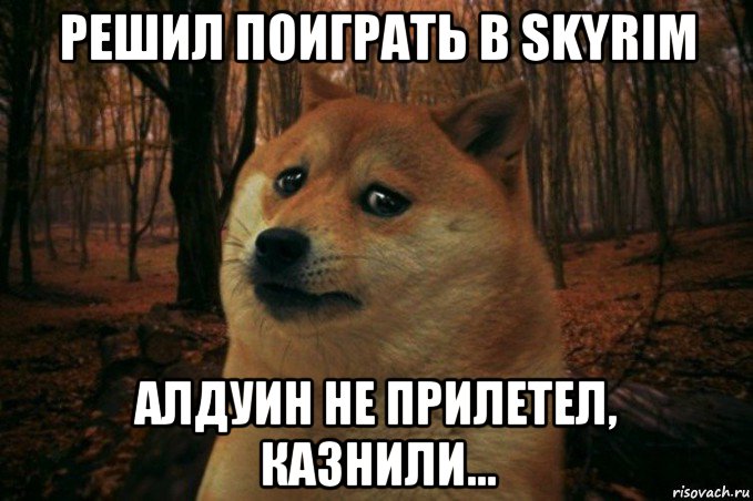 решил поиграть в skyrim алдуин не прилетел, казнили..., Мем SAD DOGE