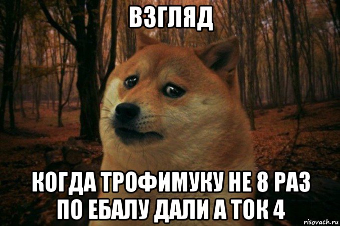 взгляд когда трофимуку не 8 раз по ебалу дали а ток 4, Мем SAD DOGE