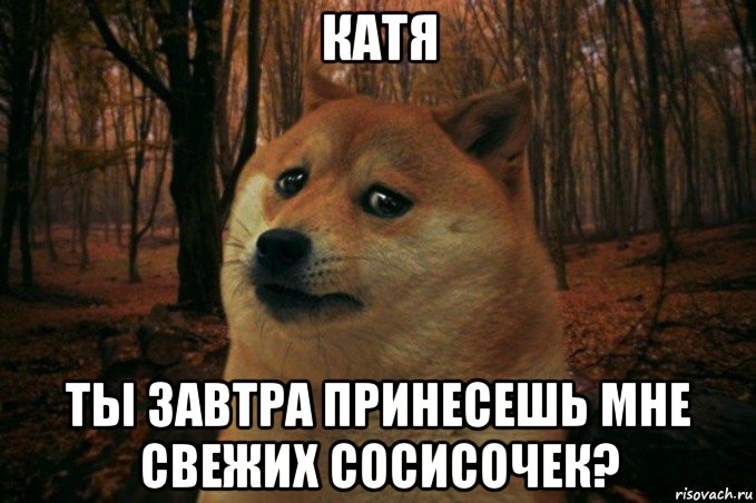 катя ты завтра принесешь мне свежих сосисочек?, Мем SAD DOGE