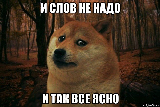 и слов не надо и так все ясно, Мем SAD DOGE