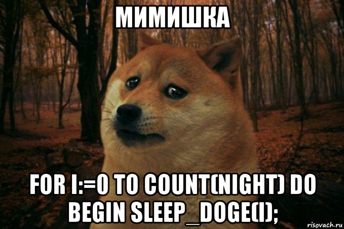 мимишка for i:=0 to count(night) do begin sleep_doge(i);, Мем SAD DOGE