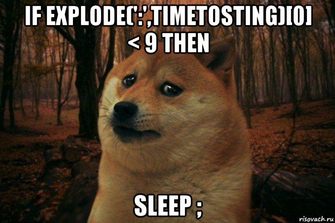 if explode(':',timetosting)[0] < 9 then sleep ;, Мем SAD DOGE