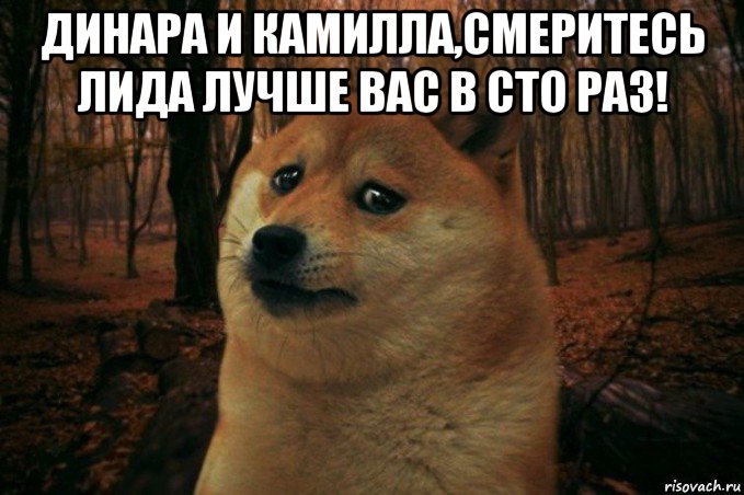 динара и камилла,смеритесь лида лучше вас в сто раз! , Мем SAD DOGE