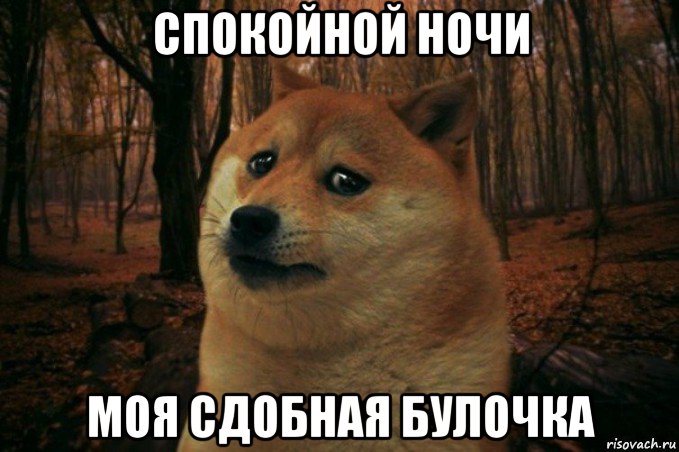 спокойной ночи моя сдобная булочка, Мем SAD DOGE