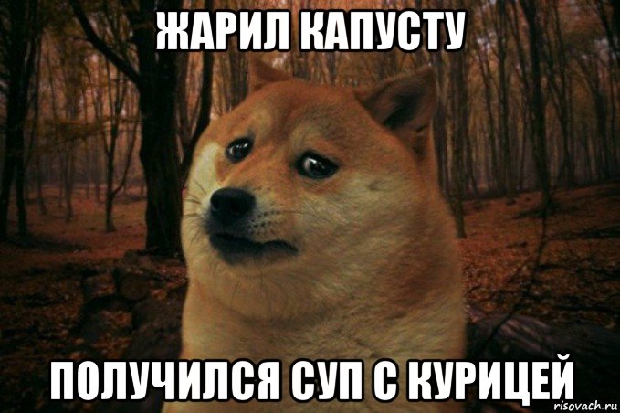 жарил капусту получился суп с курицей, Мем SAD DOGE