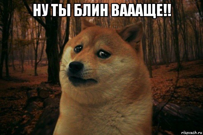 ну ты блин ваааще!! , Мем SAD DOGE