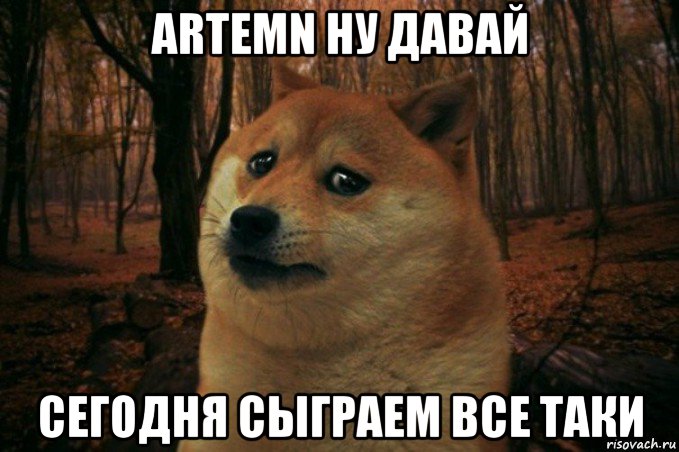 artemn ну давай сегодня сыграем все таки, Мем SAD DOGE