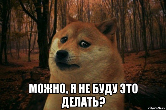  можно, я не буду это делать?, Мем SAD DOGE