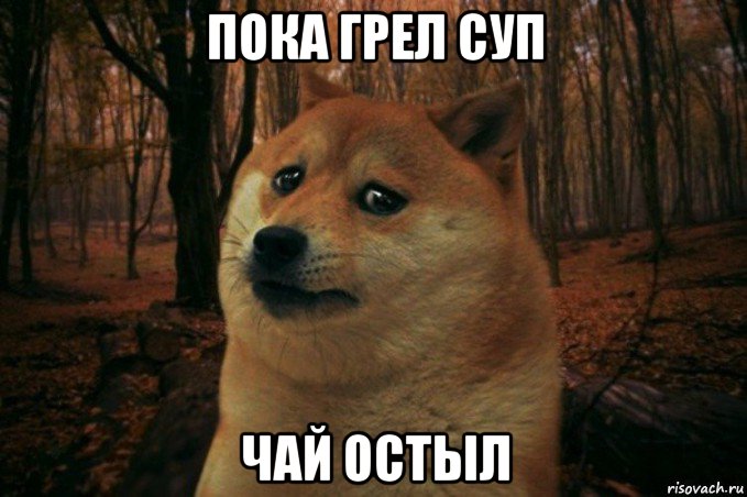 пока грел суп чай остыл, Мем SAD DOGE