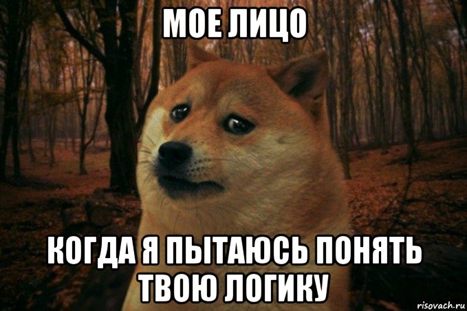 мое лицо когда я пытаюсь понять твою логику, Мем SAD DOGE