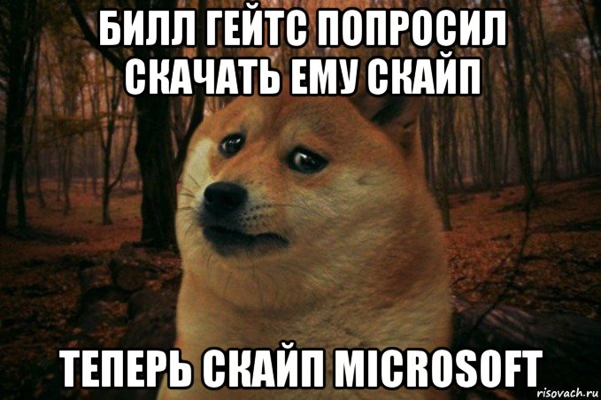 билл гейтс попросил скачать ему скайп теперь скайп microsoft, Мем SAD DOGE