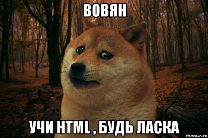 вовян учи html , будь ласка, Мем SAD DOGE