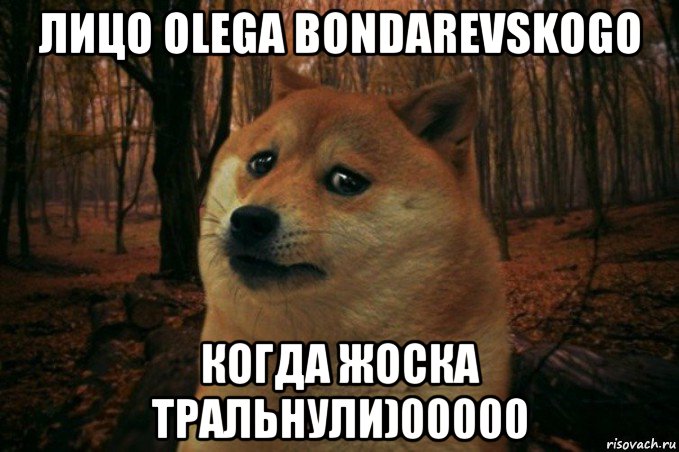 лицо olega bondarevskogo когда жоска тральнули)00000, Мем SAD DOGE