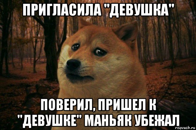 пригласила "девушка" поверил, пришел к "девушке" маньяк убежал, Мем SAD DOGE