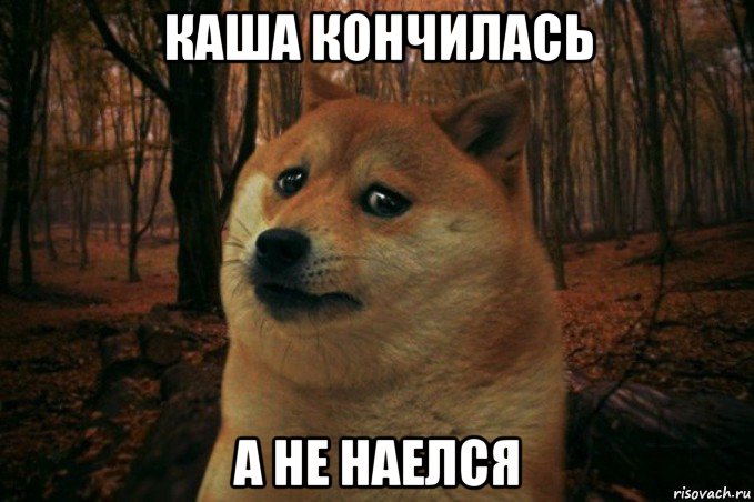 каша кончилась а не наелся, Мем SAD DOGE