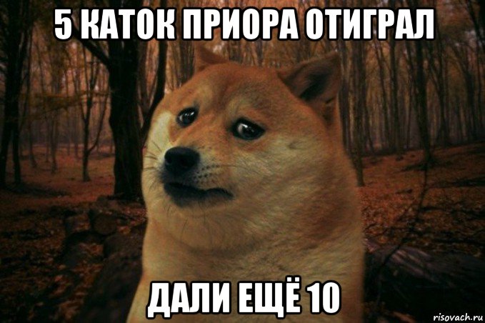 5 каток приора отиграл дали ещё 10, Мем SAD DOGE