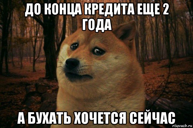 до конца кредита еще 2 года а бухать хочется сейчас, Мем SAD DOGE