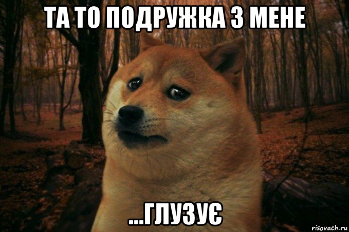 та то подружка з мене ...глузує, Мем SAD DOGE